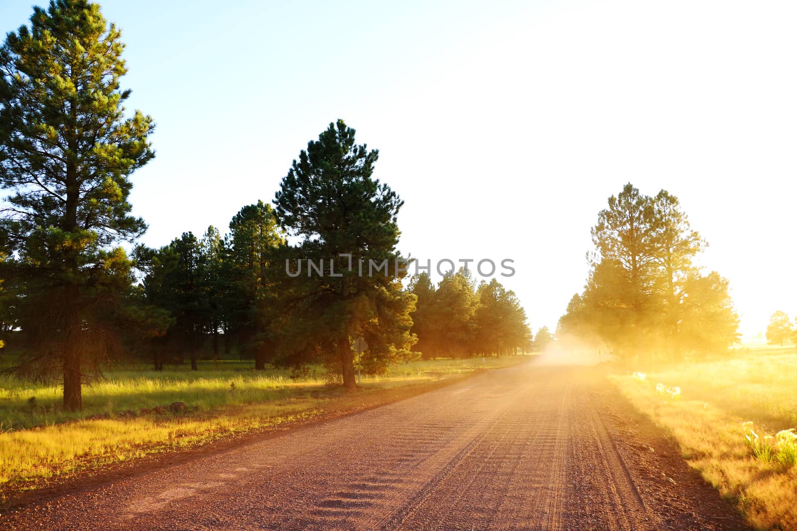 Beautiful view of the road during sunset. Rural Bright Road, Arizona