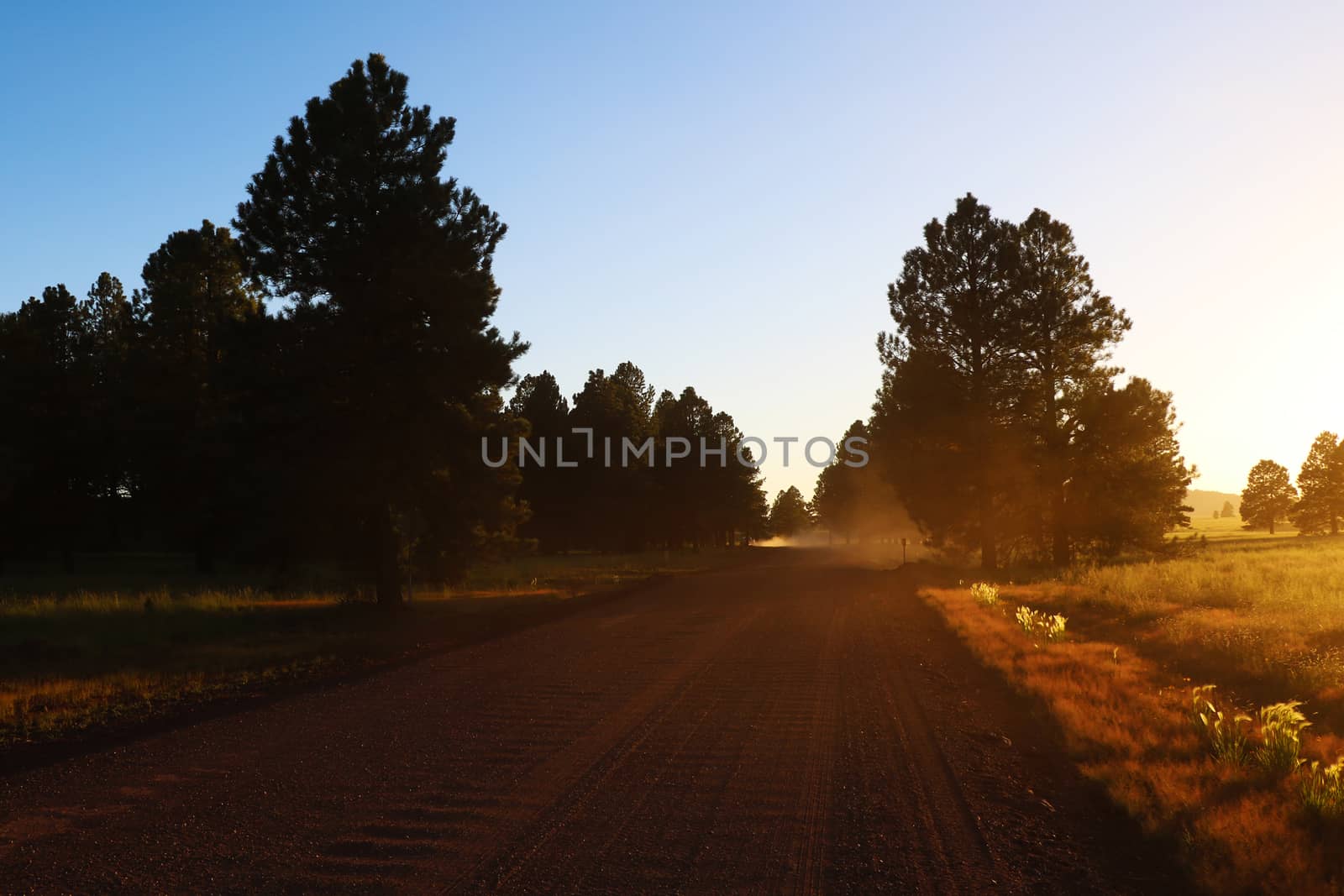 Beautiful view of the road during sunset. Rural Bright Road