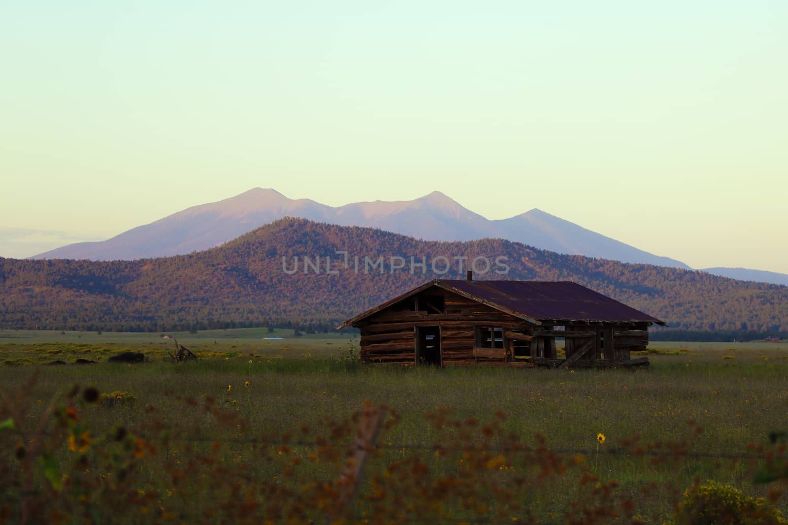 Old abandoned house on a background of mountains, Arizona by kip02kas