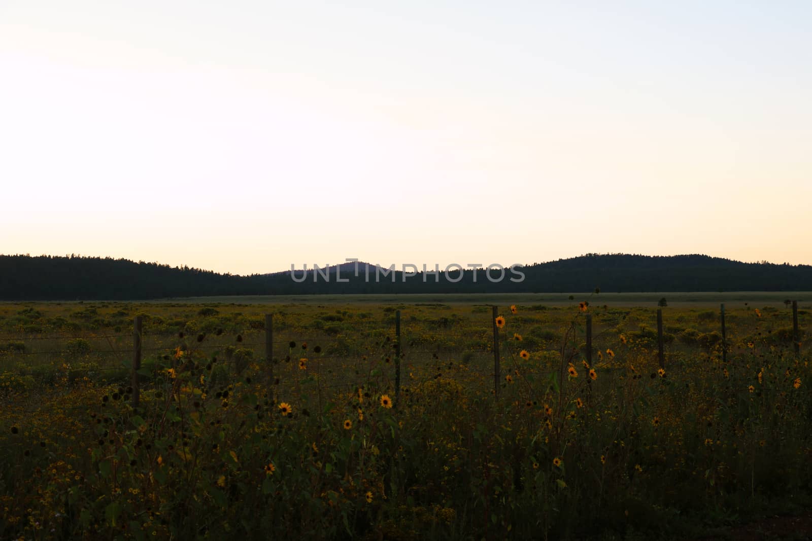 View of the fields and mountains in Arizona, USA