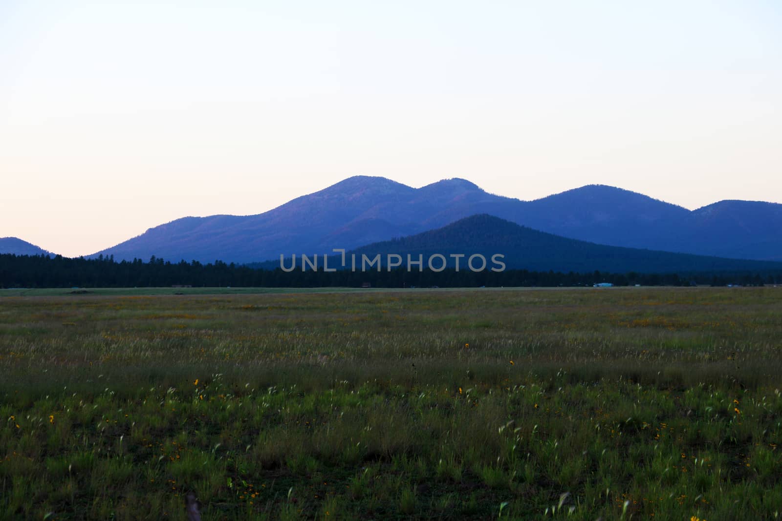 View of the fields and mountains in Arizona, USA. by kip02kas