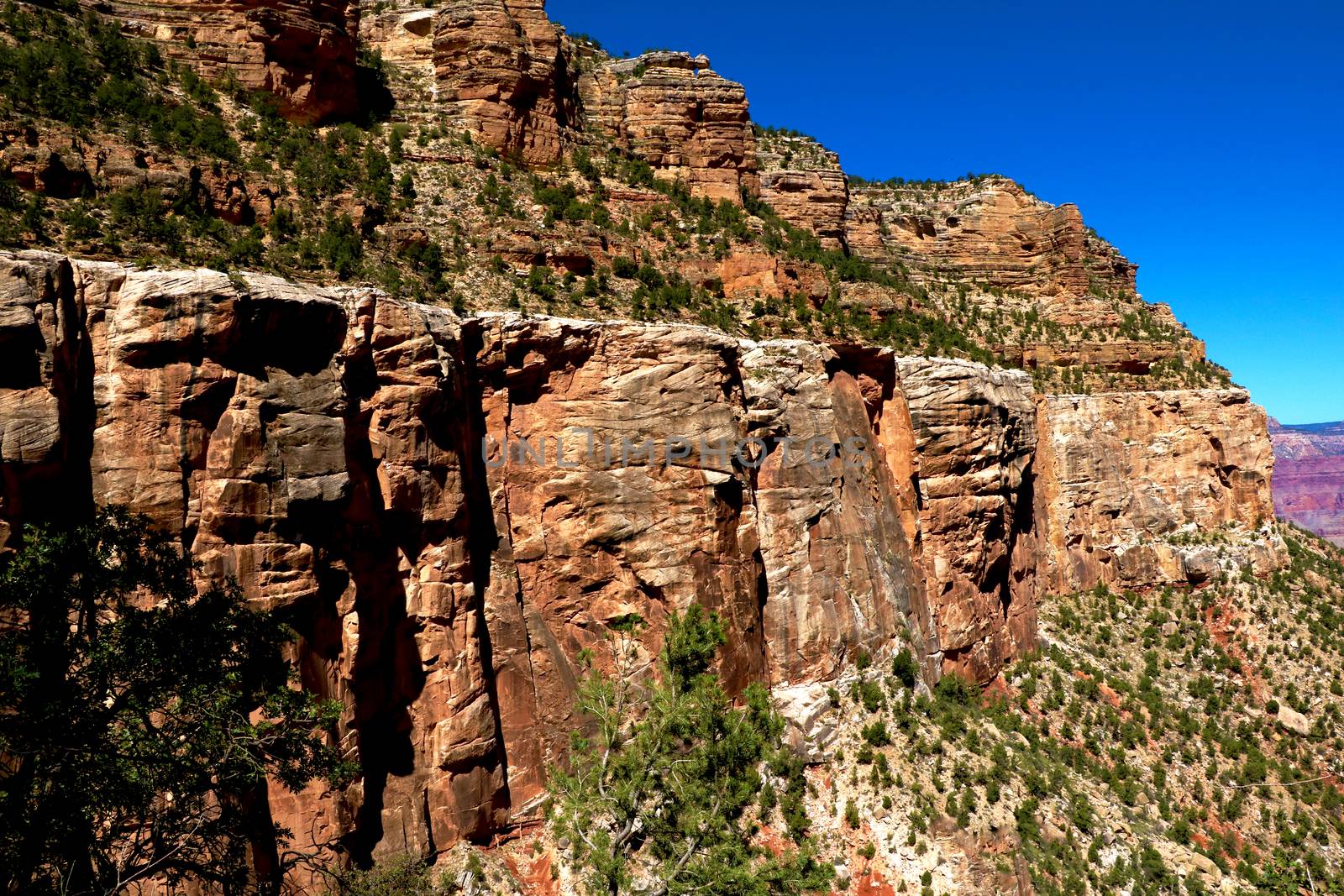 View of the northern edge of Grand Canyon National Park, Arizona