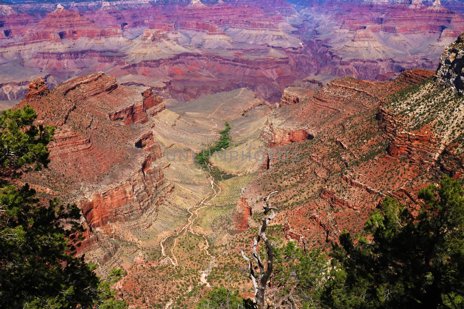 View to Calorado river at Grand Canyon from Desert View Point