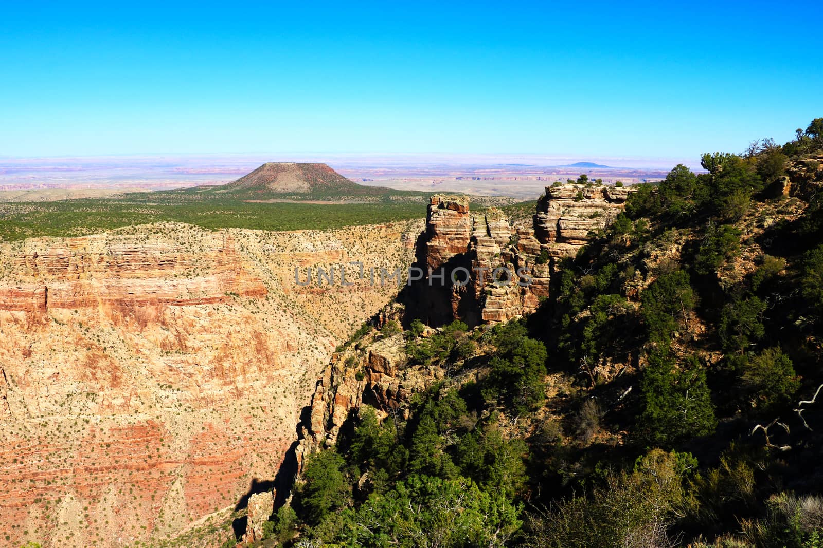 The North Rim of the Grand Canyon in June