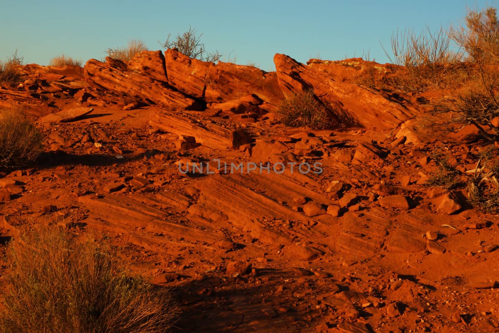 Sandstone desert landscape Arizona. Photo taken at the Horseshoe Bend National Park. The texture of the sand and stone creates color palette in the desert