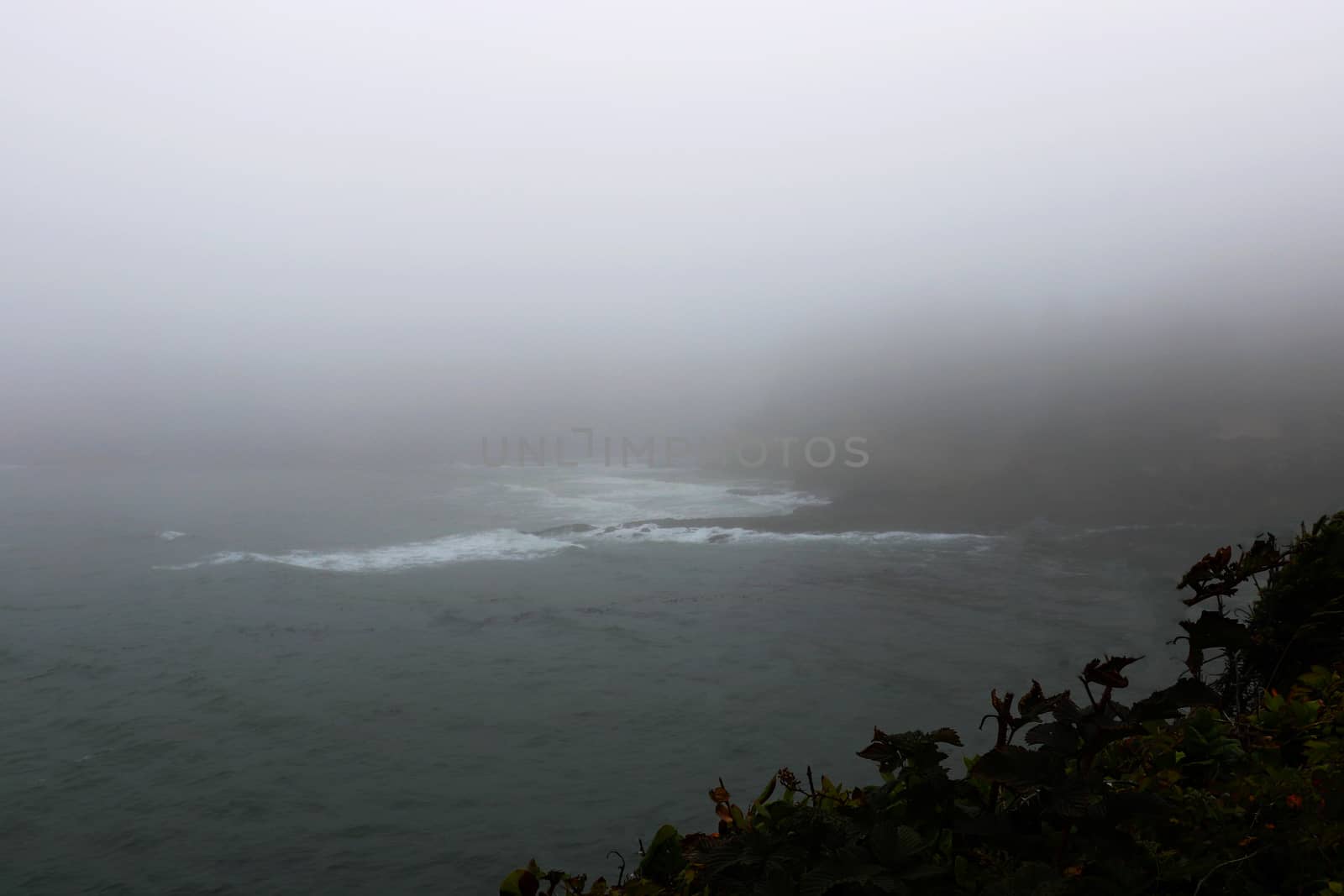 View of the Pacific Ocean in a foggy morning, America by kip02kas