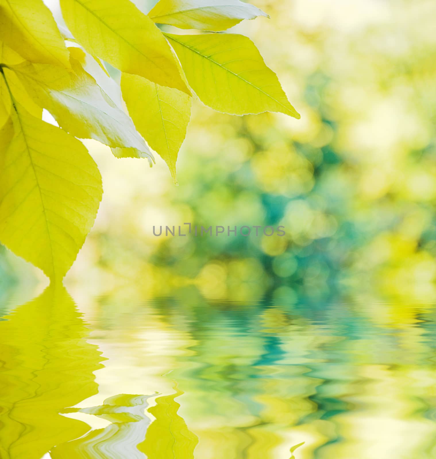 Autumn background reflected in a water by Epitavi