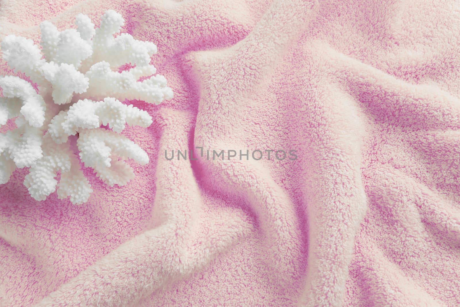 White coral on the terry orange towel by Epitavi