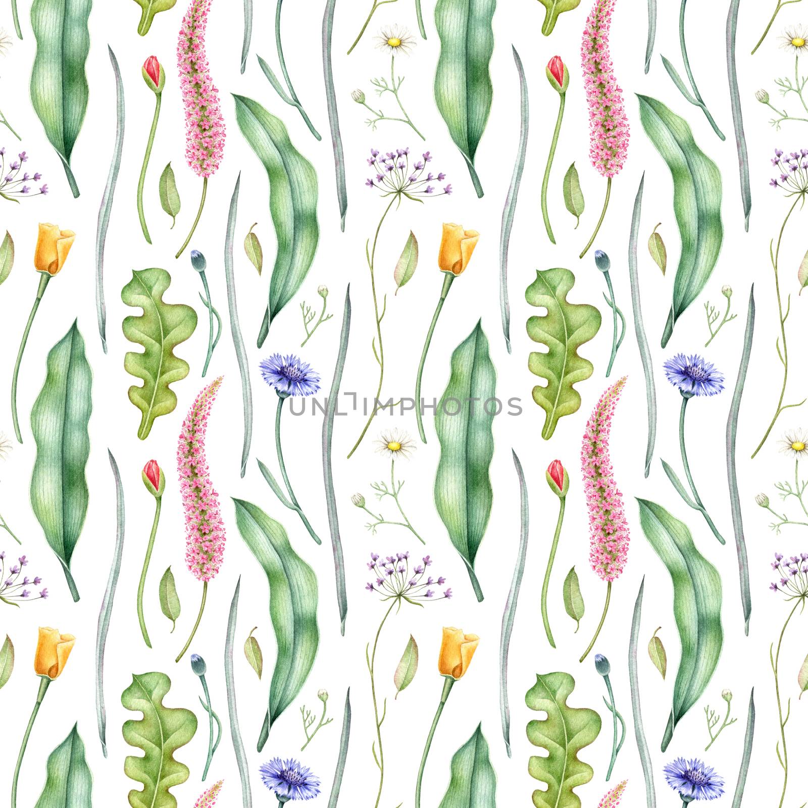 Watercolor floral pattern with wildflowers and herbs. Hand drawn botanical illustration. Seamless background.