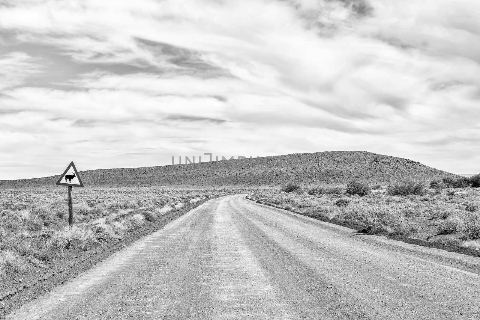 Road landscape in the Tankwa Karoo in the Northern Cape Province. A warning sign is visible. Monochrome