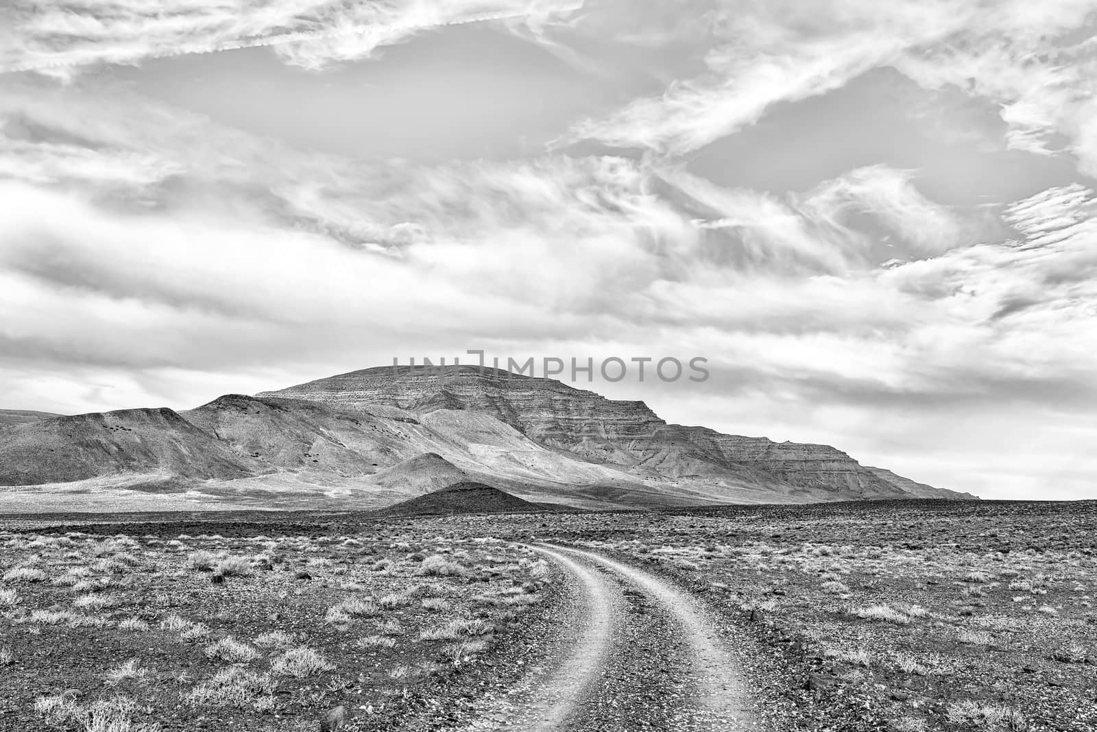Road landscape in the Tankwa Karoo in the Northern Cape Province of South Africa. Monochrome