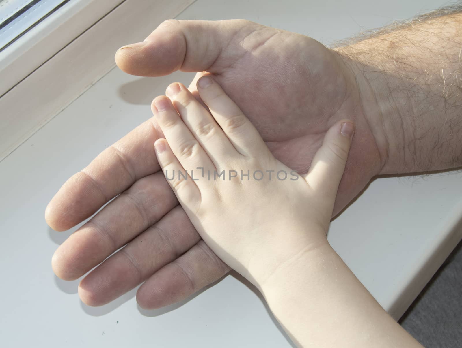 The father carefully holding in his hand the hand of a child. Happy family, care and love, father's day.