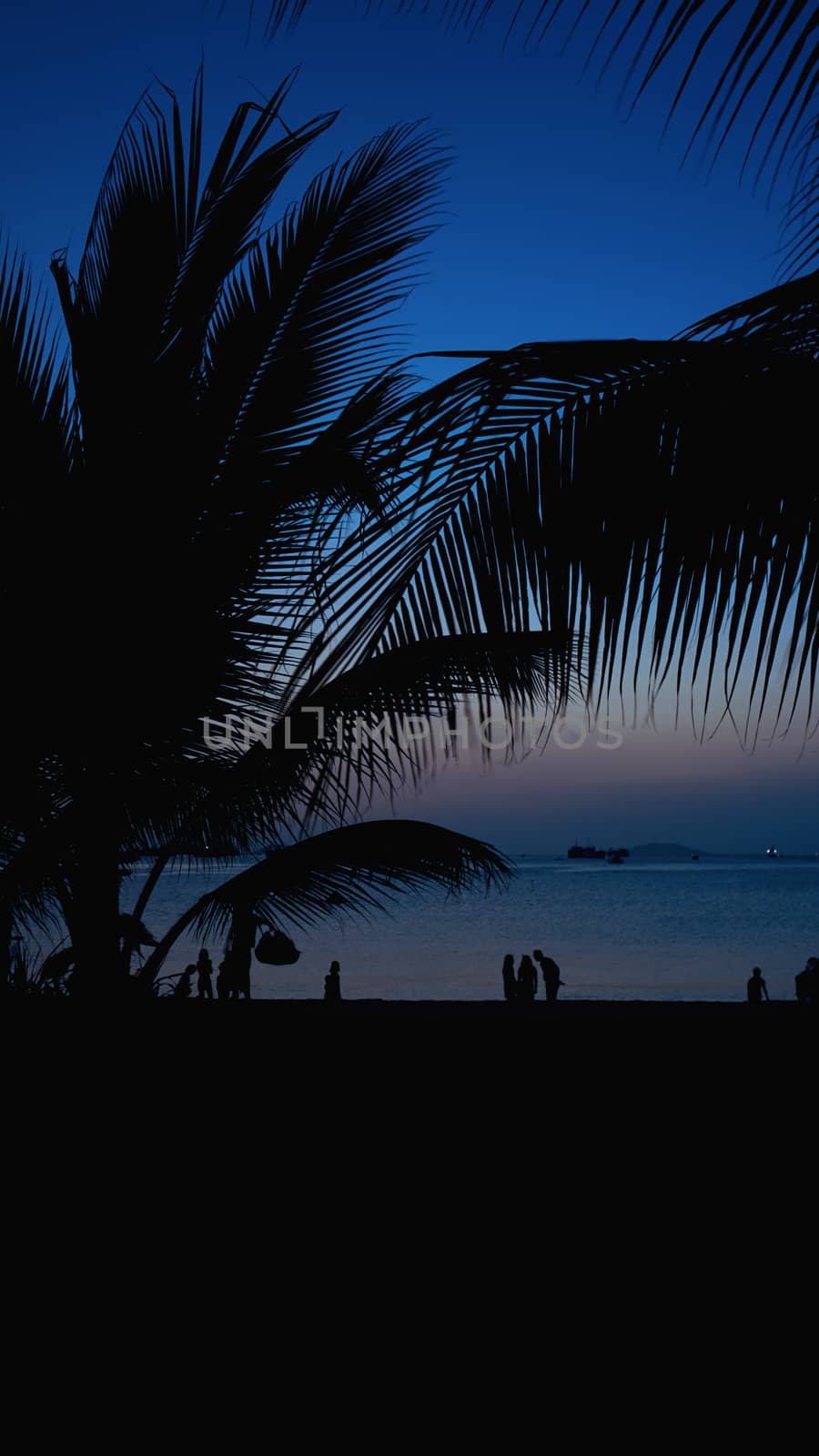 Silhouette of people on tropical beach at sunset - Tourists enjoying time in summer vacation - Travel, holidays and landscape concept - Focus on palm tree - vertical