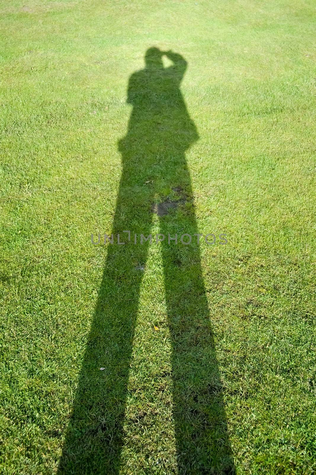 Shadow of a man on a background of green grass illustrates the concept of a photographer.