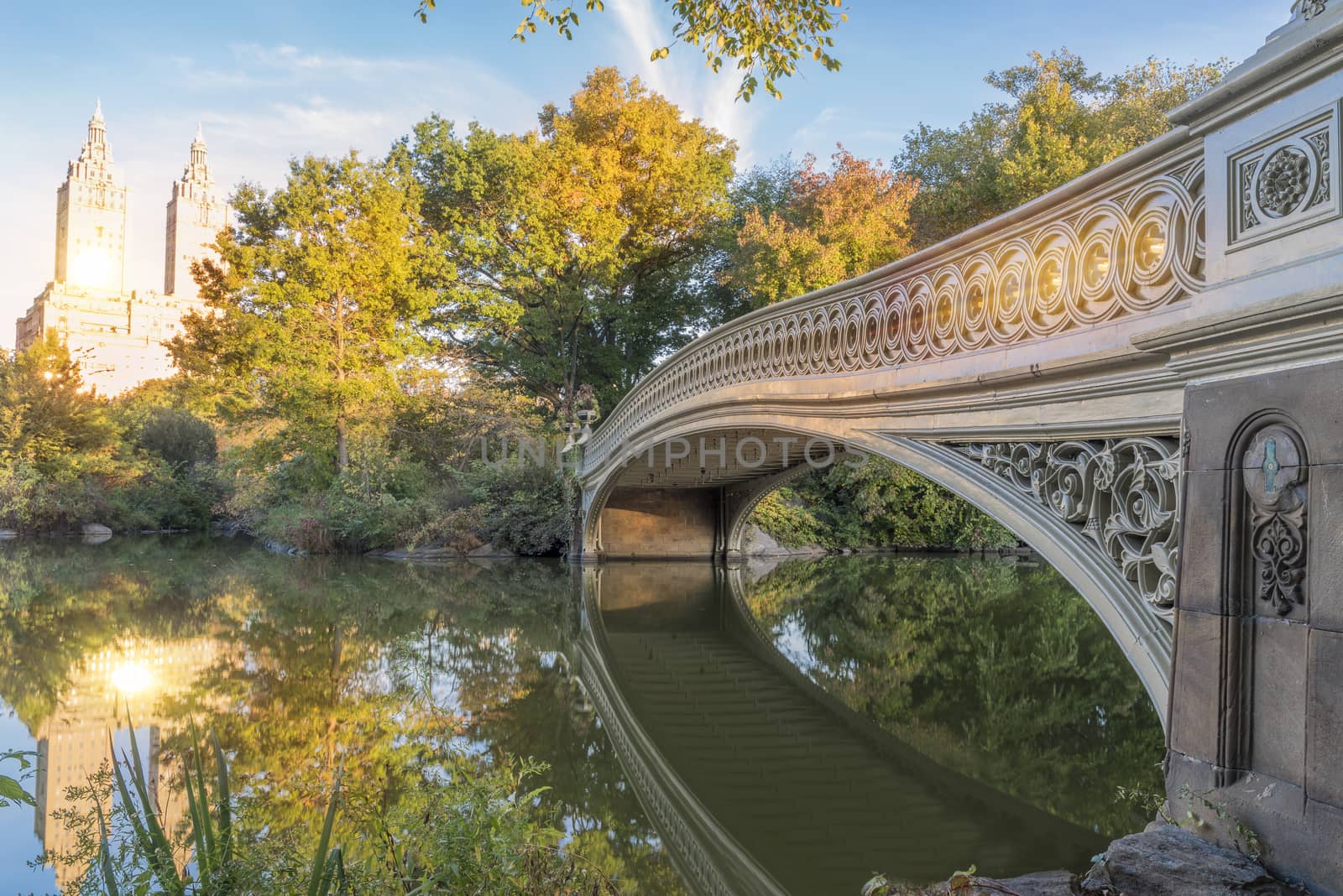 Gorgeous view of Bridge in Central park in NY in autumn