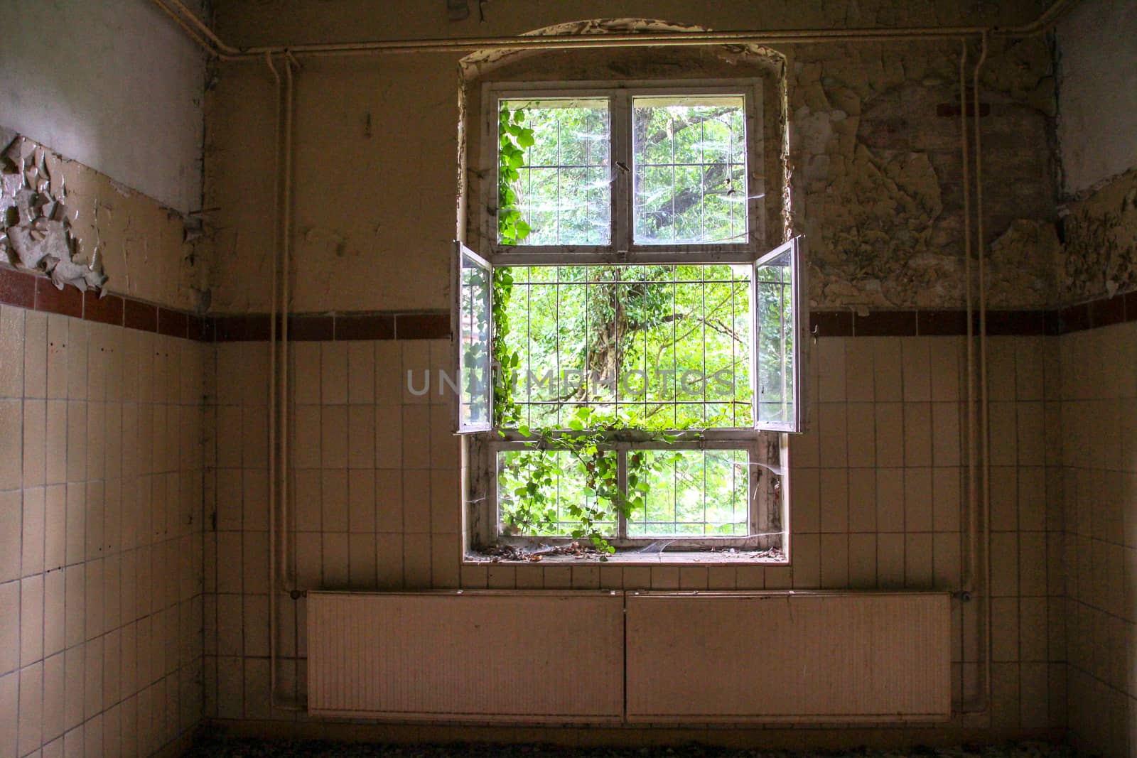 Ruins of Beelitz-Heilstätten Lost place Berlin Brandenburg;