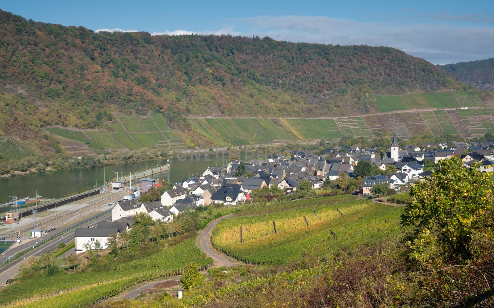 Panoramic view to the Moselle village Bruttig-Fankel on a autumnal day, Germany, Europe