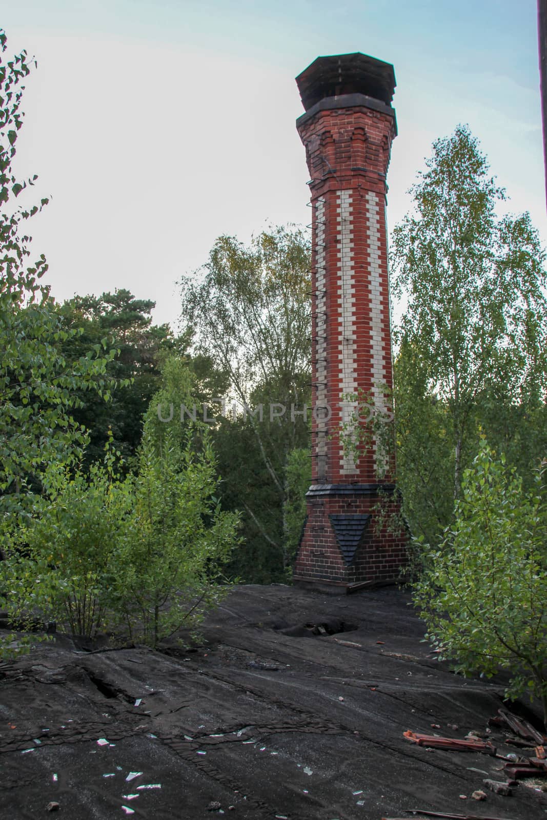 Ruins of Beelitz-Heilstätten Lost place Berlin Brandenburg;