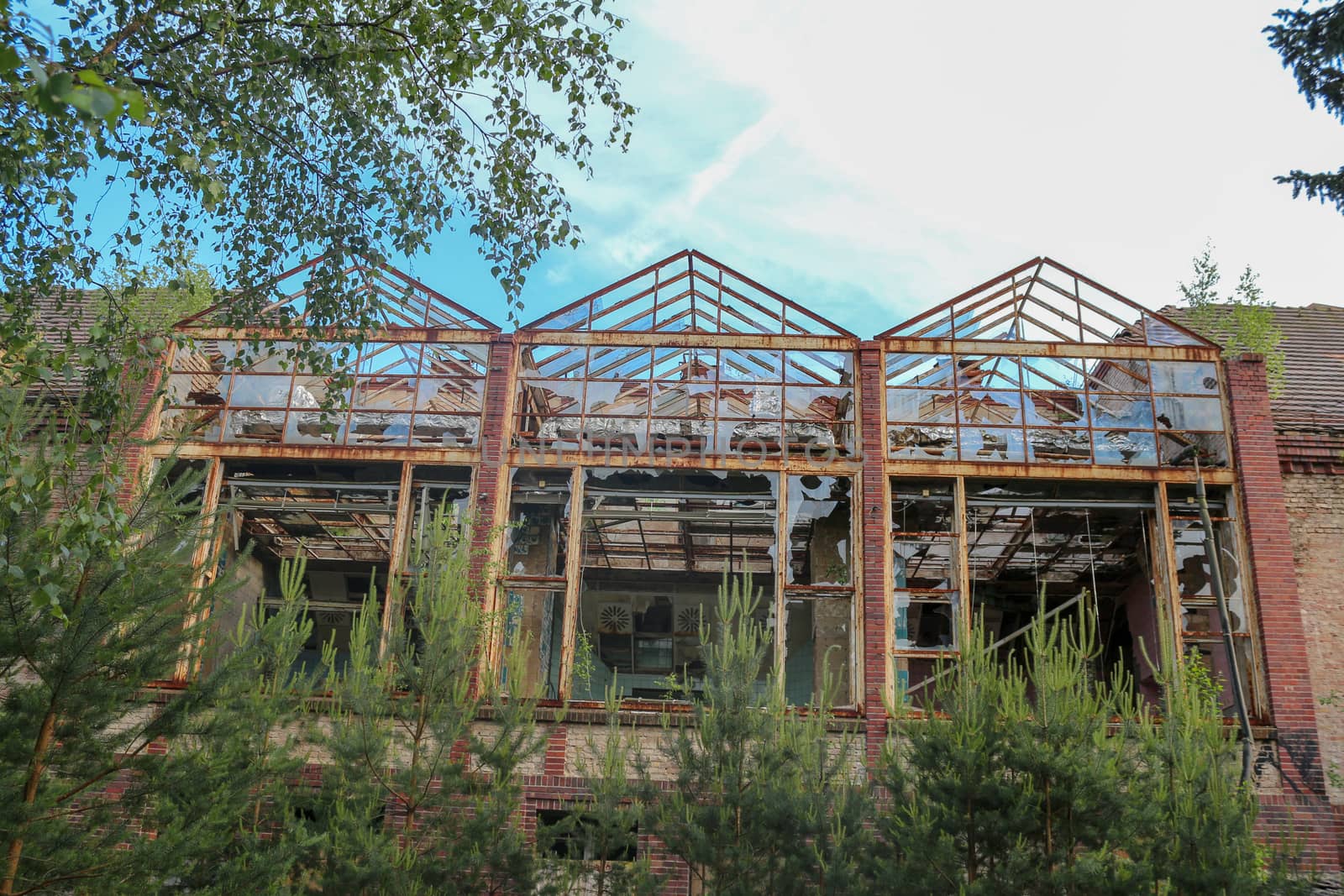 Ruins of Beelitz-Heilstätten Lost place Berlin Brandenburg;