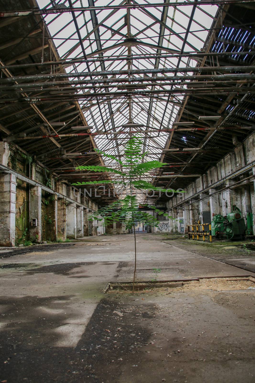 Lost Place garage of railway