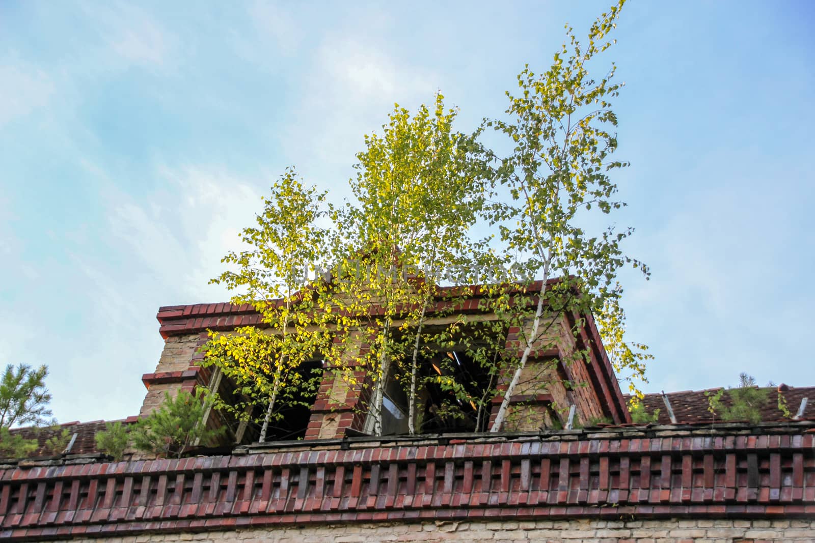 Ruins of Beelitz-Heilstätten Lost place Berlin Brandenburg;