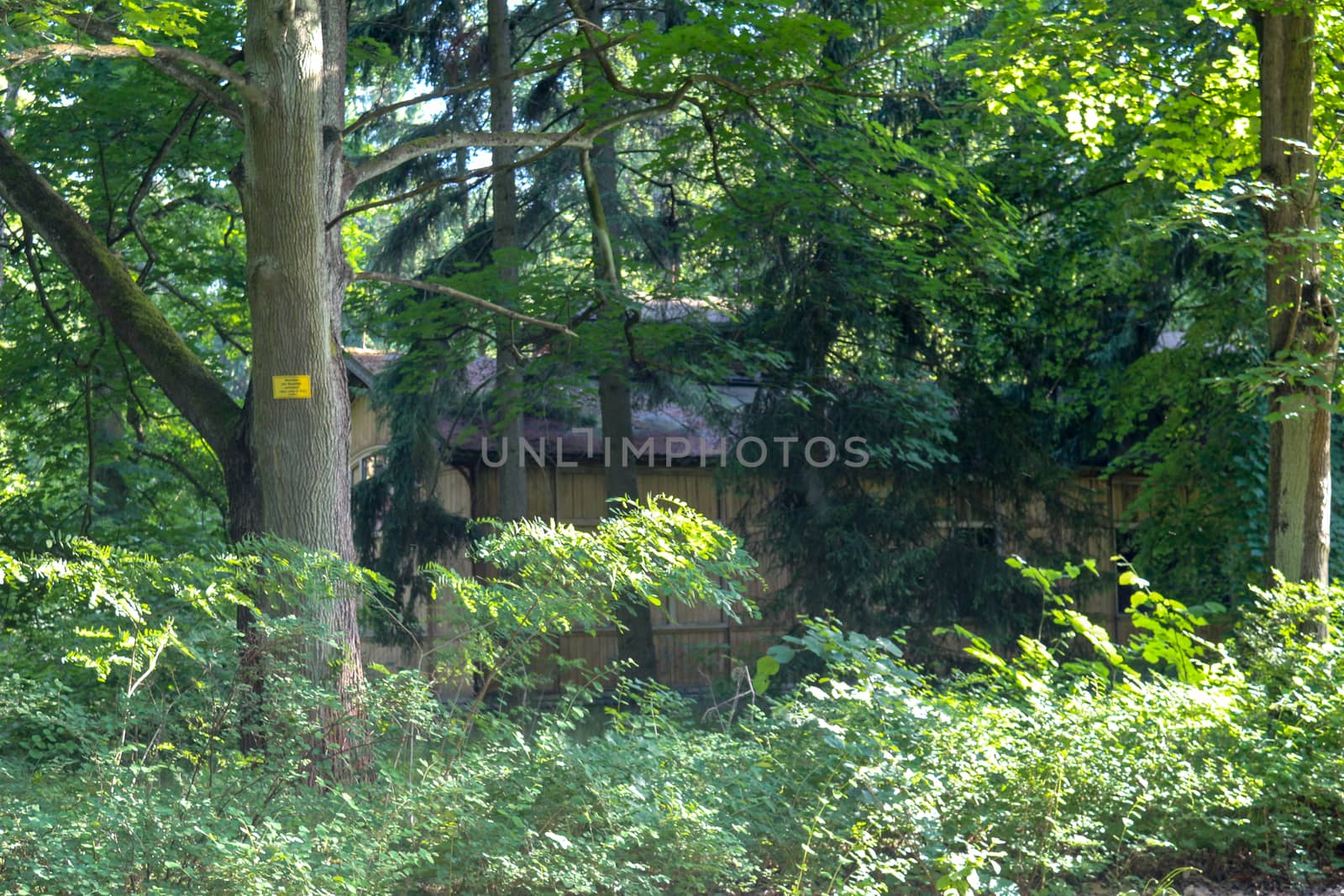 Ruins of Beelitz-Heilstätten Lost place Berlin Brandenburg;