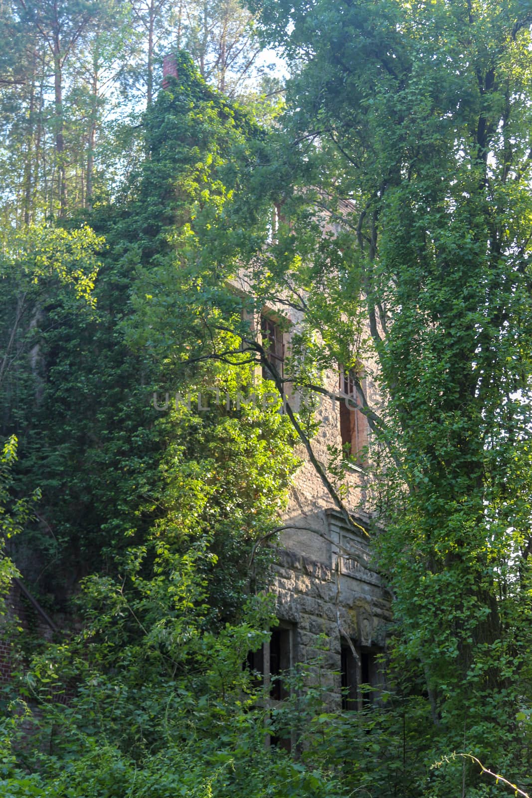 Ruins of Beelitz-Heilstätten Lost place Berlin Brandenburg;
