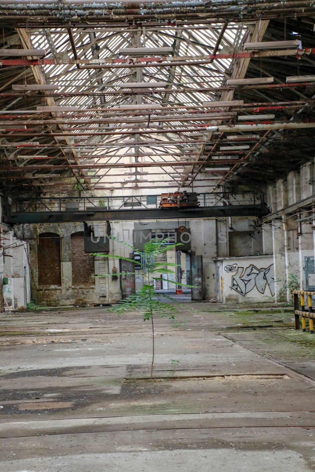 Lost Place garage of railway