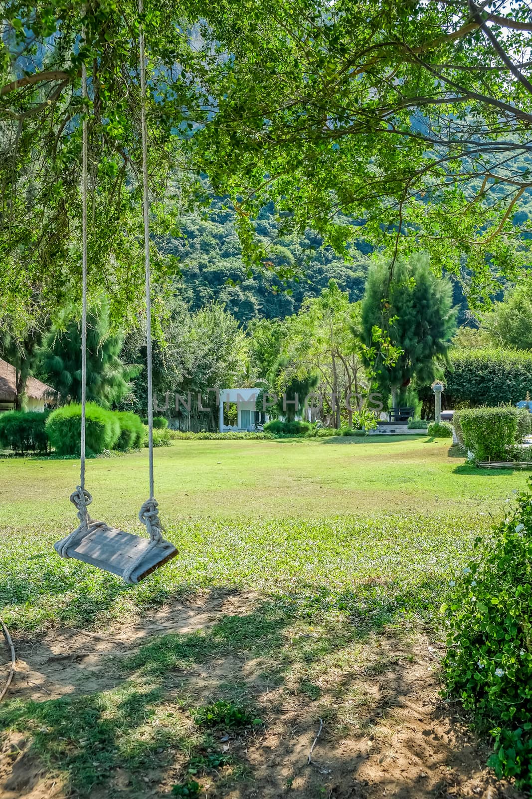 Image of wooden swing under the tree in the garden