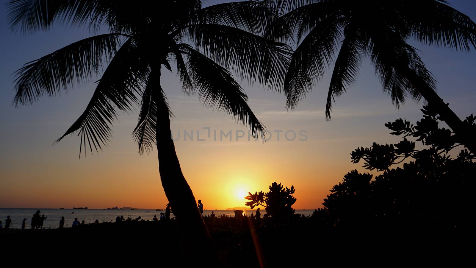 Sunset landscape. beach sunset. palm trees silhouette on sunset tropical beach, China