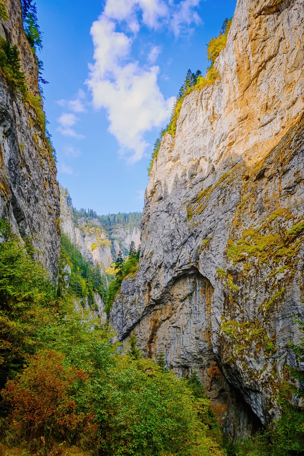 Trigrad Gorge, Rhodope Mountains in Southern Bulgaria, Southeastern Europe