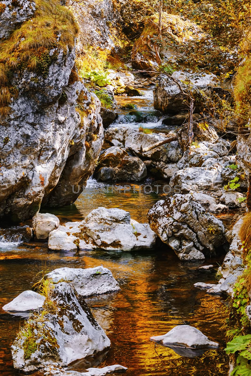 Mountain river in Trigrad Gorge, Rhodope Mountains in Southern Bulgaria, Southeastern Europe