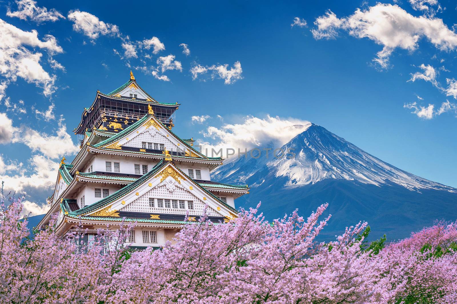 Fuji mountains and castle with cherry blossom in spring.