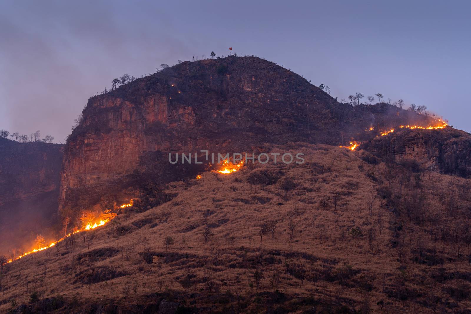 Forest fire on mountains. by gutarphotoghaphy