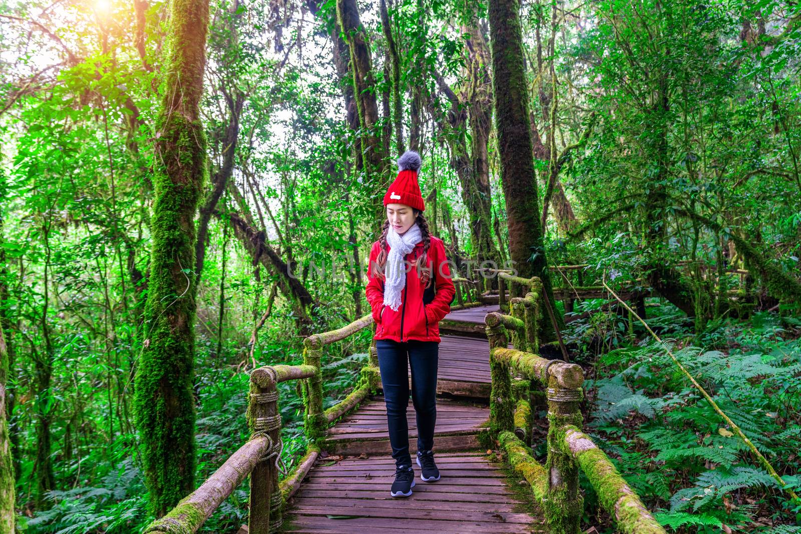 Tourist walking in Ang ka nature trail at Doi Inthanon national park , Chiang mai , Thailand. by gutarphotoghaphy