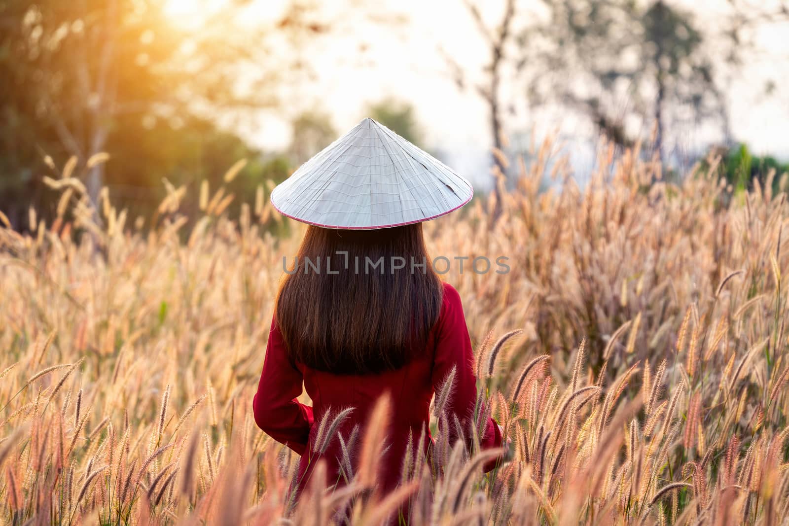 Asian woman wearing Vietnam culture traditional in african fountain flower field by gutarphotoghaphy