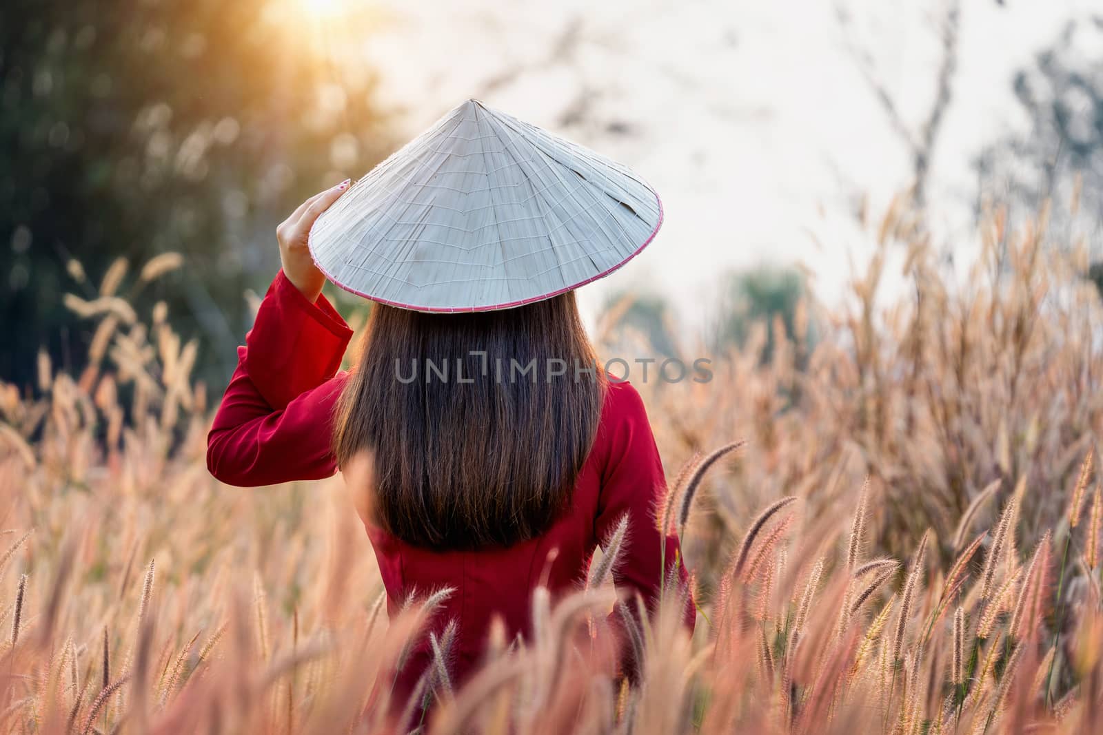 Asian woman wearing Vietnam culture traditional in african fountain flower field.