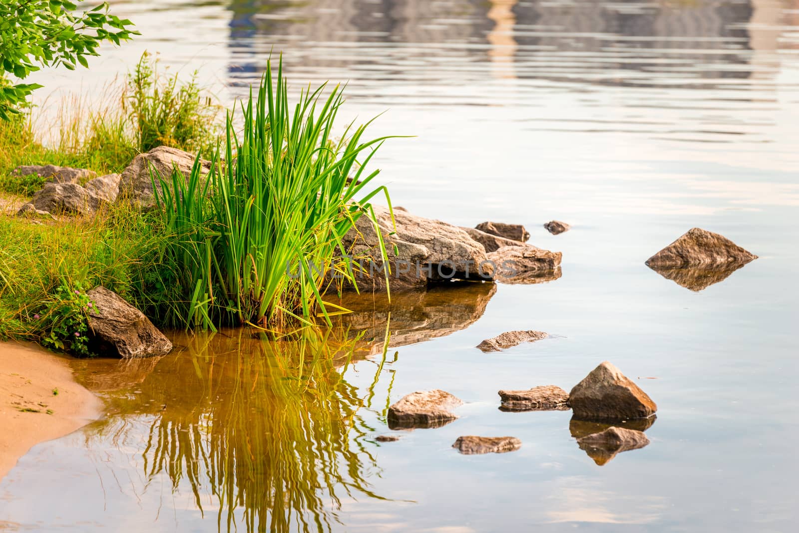 Closeup of the shore of the pond, in the frame of water, grass and stone