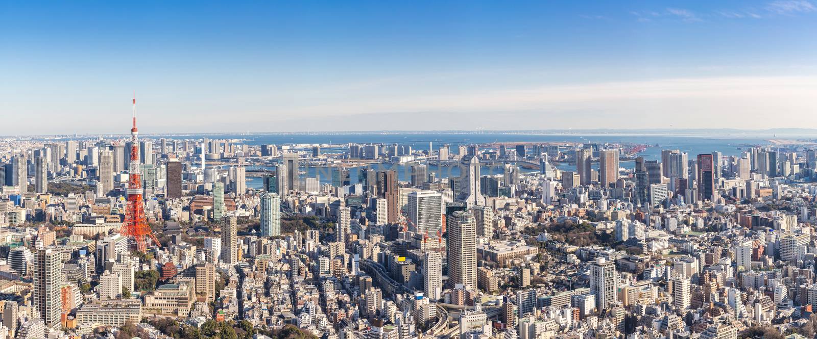 Tokyo Tower with skyline in Tokyo Japan Panorama