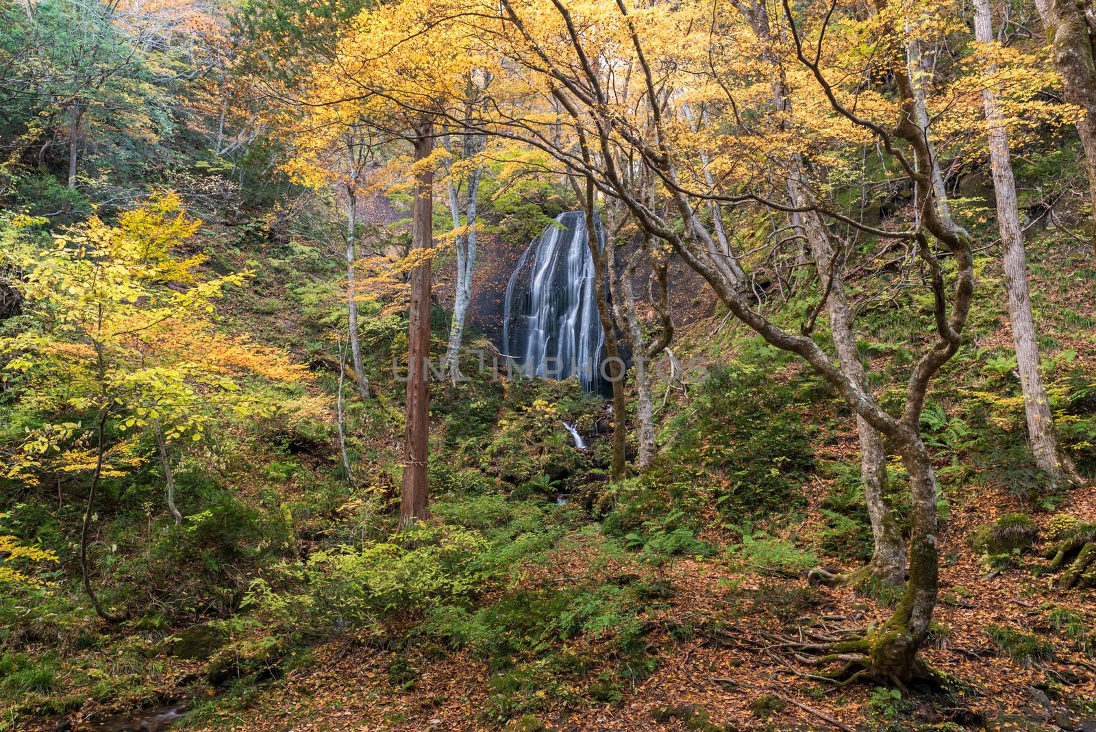 Tatsuzawafudo Waterfall Fukushima by vichie81