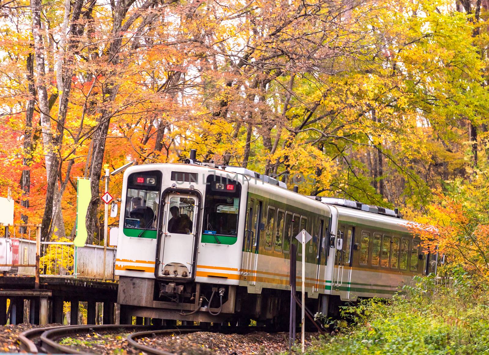 Autumn fall foliage with white train commuter in Fukushima Japan