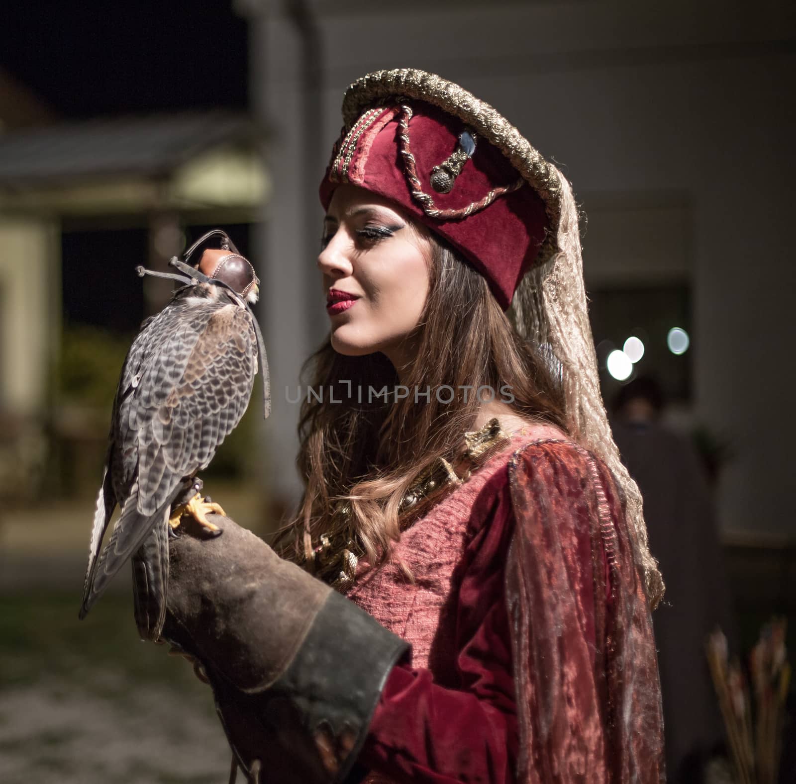 medieval woman holding a falcon on his arm. Lady looks at the hawk