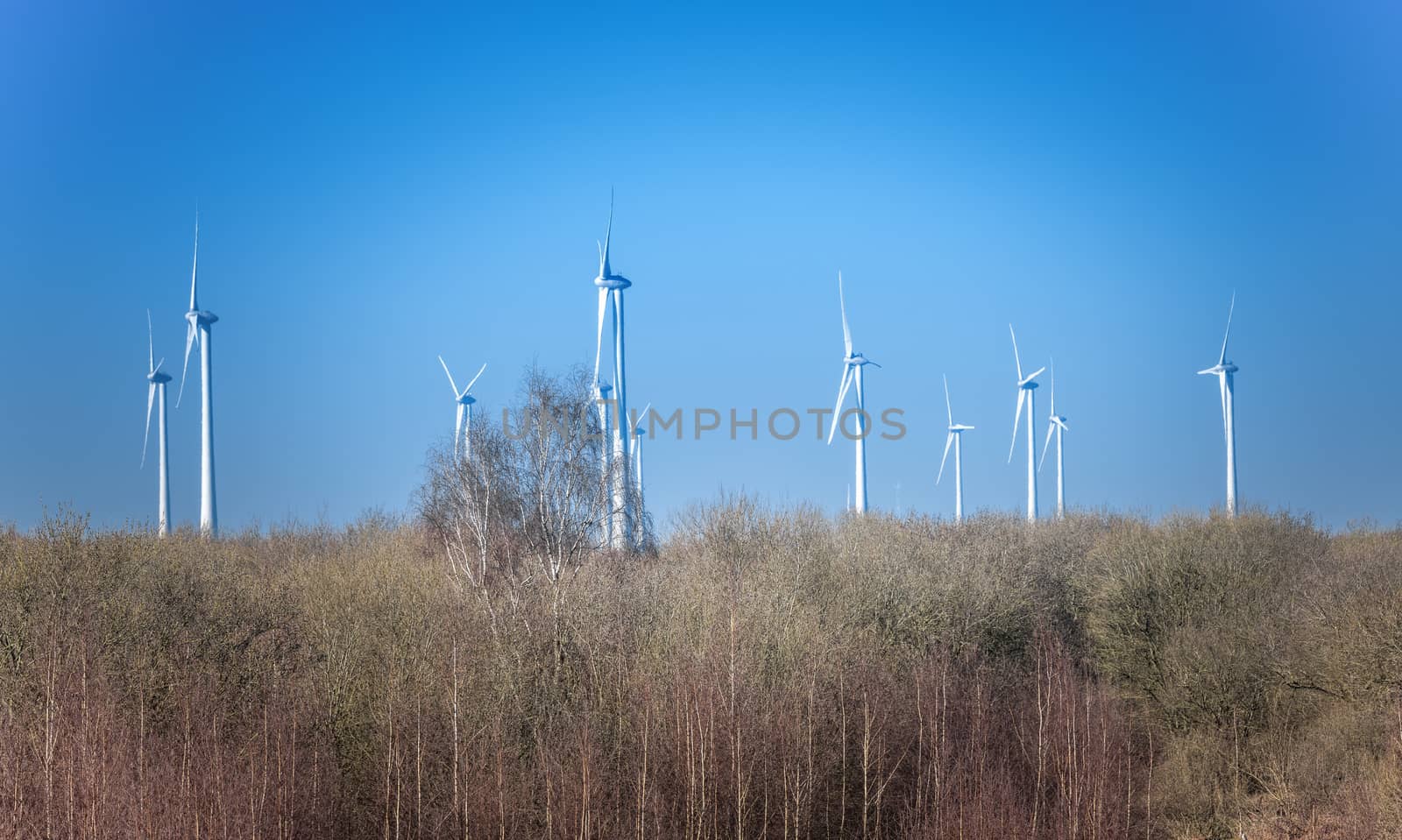 windmills above the forest after a national park in holland
