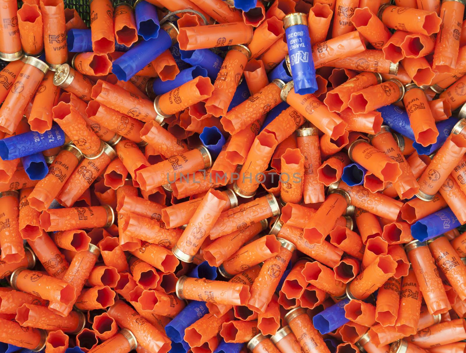 CHISINAU, MOLDOVA - October 3, 2018: Shotgun shells. Background of many colorful shot empty shotgun shells, blue, red, yellow, purple colored