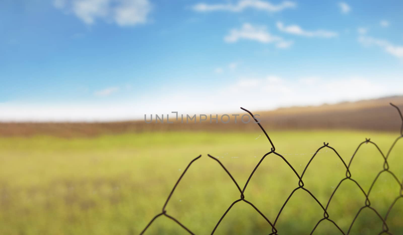 Mesh fence on the background of green fields, the blue summer sky