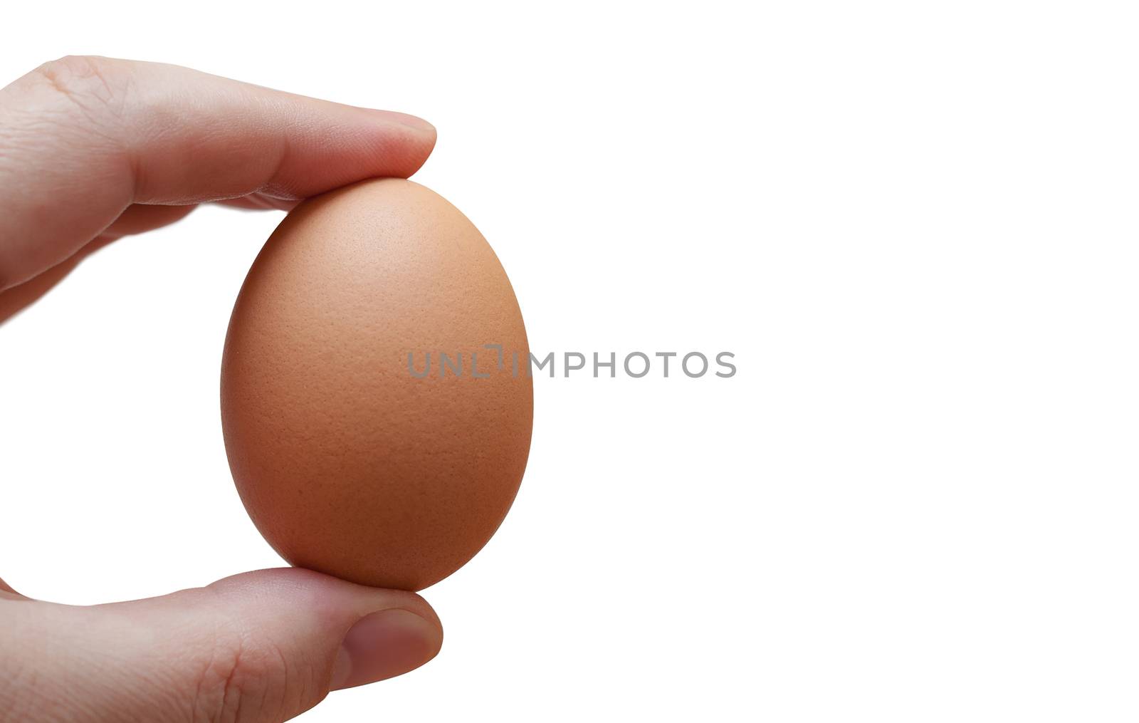 Hand holding an egg isolated on white background. With clipping path.