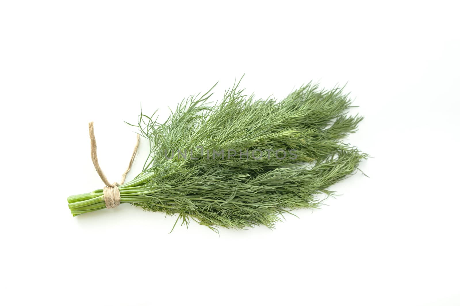 bunch fresh, green dill on a white background