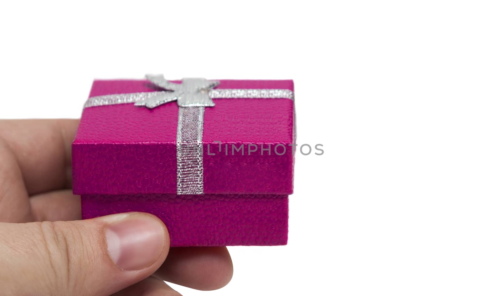 Hand holding small rose gift with silver ribbon isolated on white background