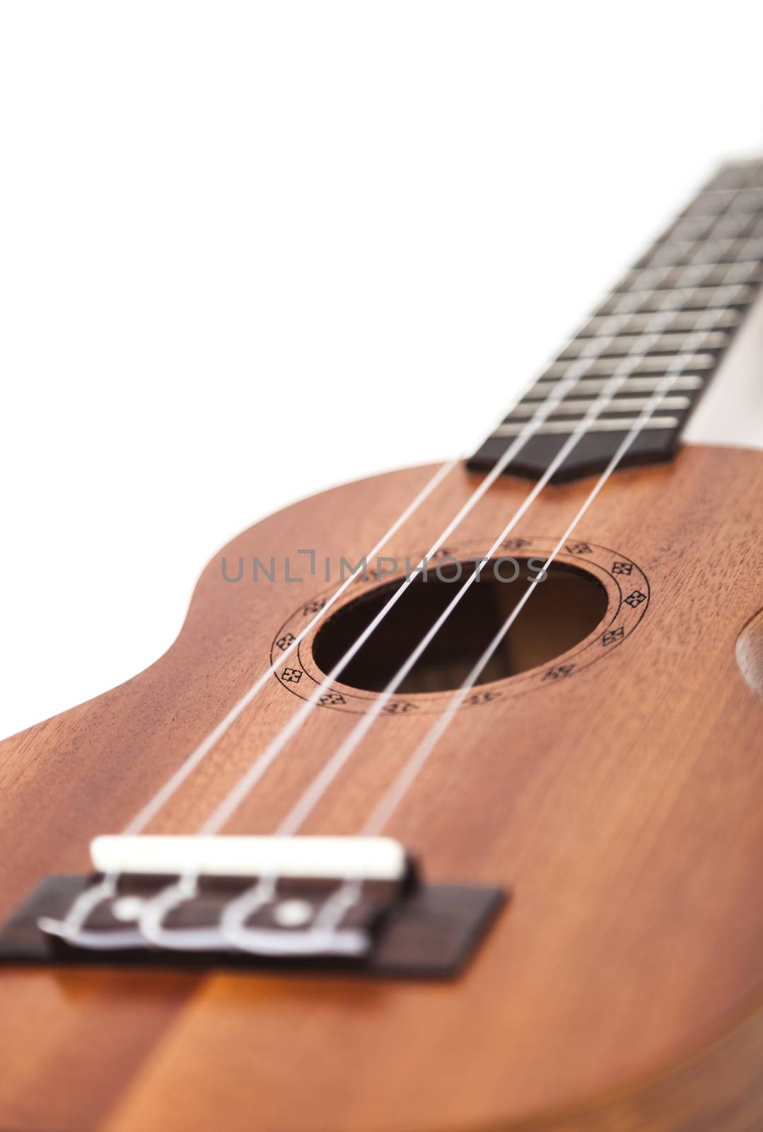 The brown ukulele guitar isolated on the white background. Blurred concept