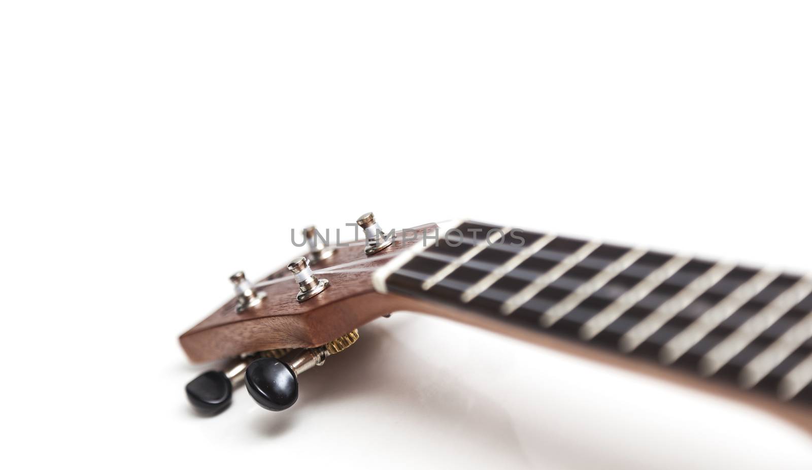 The brown ukulele guitar isolated on the white background. Blurred concept